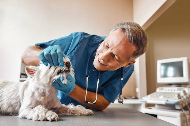 Best Weekend Emergency Dentist in Countryside, IL
